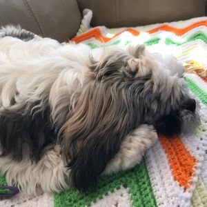 Meet your Posher, Gloria